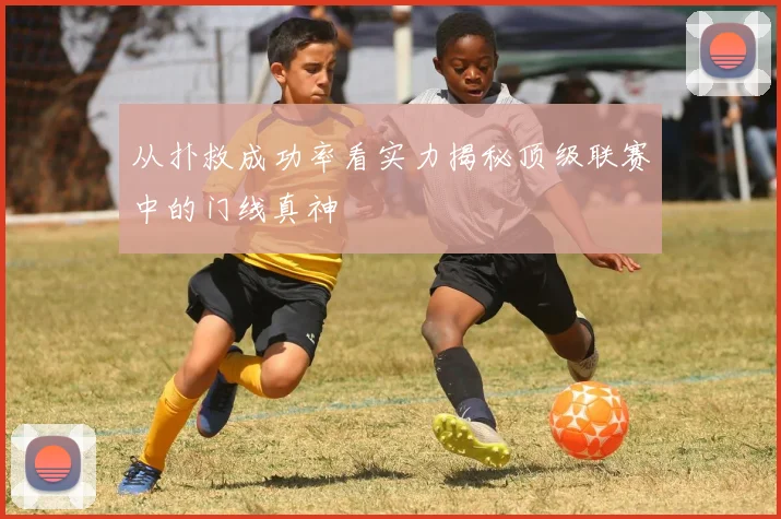 从扑救成功率看实力揭秘顶级联赛中的门线真神