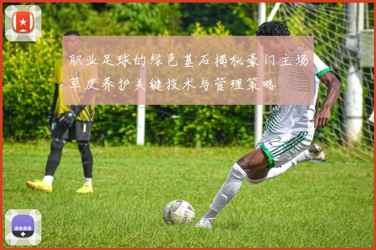职业足球的绿色基石揭秘豪门主场草皮养护关键技术与管理策略