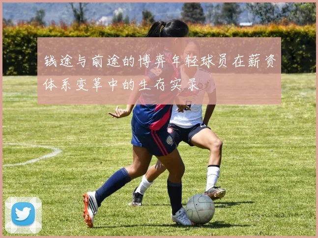 钱途与前途的博弈年轻球员在薪资体系变革中的生存实录