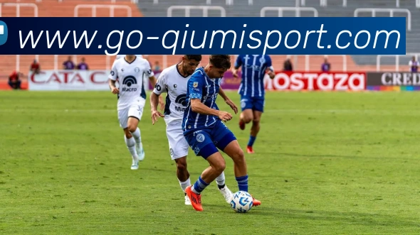 球迷体育平台生态图